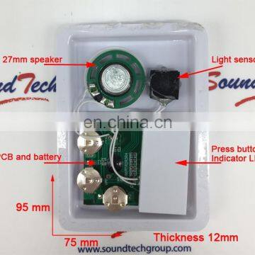 Electronic Components Alert Sound Device for Car photo-4