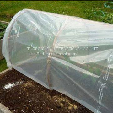 Poly House UV Film / Polyethylene Sheets Plastic Roll for Greenhouse photo-2