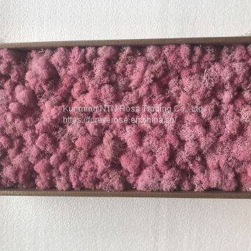 Fresh Touch Decorative Moss for Floral Compositions