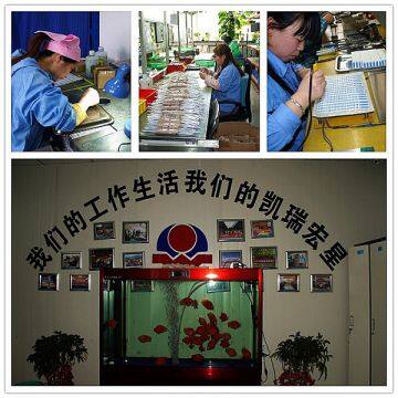 Shaanxi Kairuihongxing Electronic Co.,Ltd company overview - view 3