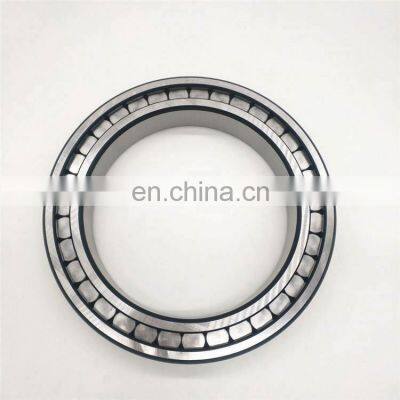 Full Complement Cylindrical Roller Bearing SL18 2948 SL182948