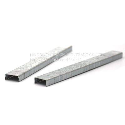 21 Gauge Nb-fastrack Staple 1/2 Crown 12mm 80 Series 8012 Furniture Decoration photo-3