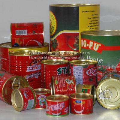 Tomato Paste in Drum