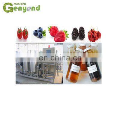 Raspberry Strawberry Juice Processing Machine/Hot Filling Machine