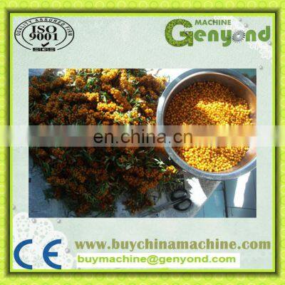 Sea Buckthorn Branch Freezing Machine for the Sea Buckthorn Fruit Processing photo-4