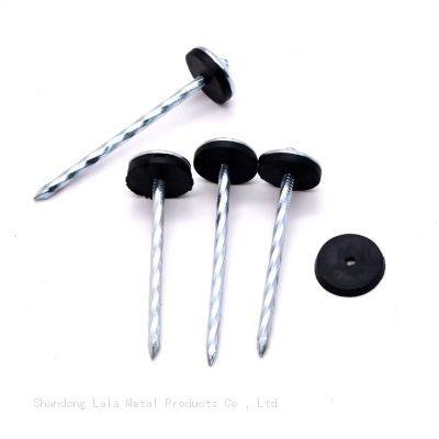 Galvanized Umbrella Head Roof Nails Umbrella Type Roofing Nail Umbrella Head Roofing Nail photo-2
