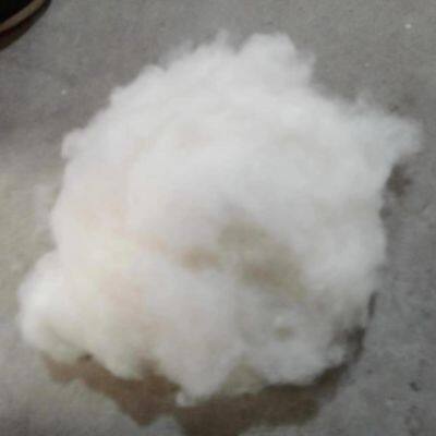 Best Quality Dehaired Mohair 20/22mic Angora Wool in Stock photo-3