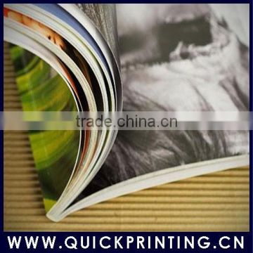 2014 Catalog Brochure Printing Service/ magazine printing