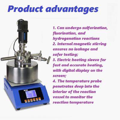 High Temperature and High Pressure Reactor photo-4