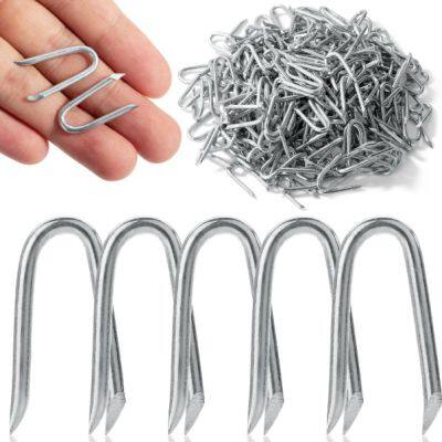 Custom Packaged U Shape Nails - Bulk Orders, OEM Service Available