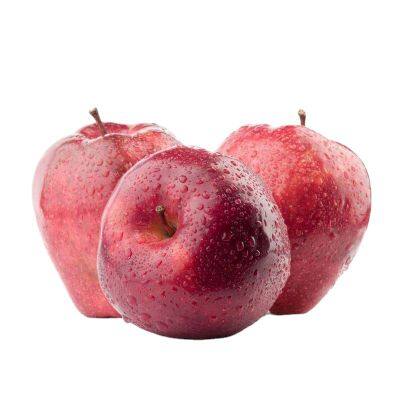 Shanghai Turkey Fruit apple Jam Juice Processing Machine for Juice Produce Line