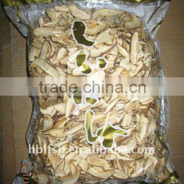 Shiitake Mushroom Cultivation photo-6
