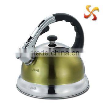 Fashion design drip water filter kettle with colorful coating on body