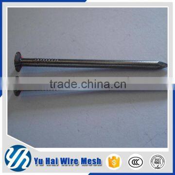 Nail/high Quality Iron Nail/free Samples