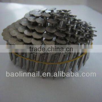 304 type stainless steel coil roofing nails