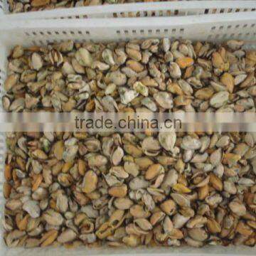 Canned Smoked Mussels photo-6