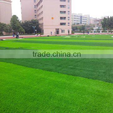School football field use C shape sport grass
