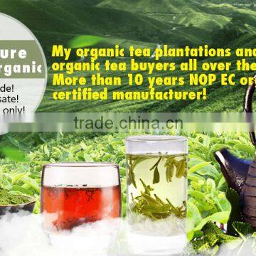 Hangzhou Famous Organic Longjing High Quality Green Tea photo-2
