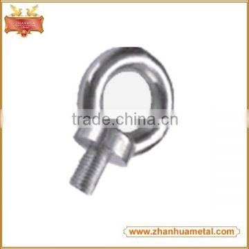 Stainless Steel Drop Forged DIN580 Lifting Eye Bolt