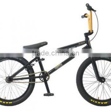 Steel Freestyle BMX