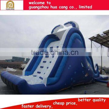 2016 China Funny Giant Inflatable Slide/titanic Inflatable Long Slide With Large Pool photo-6
