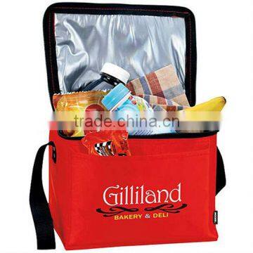 Insulated Cooler Bag(SA8000, BSCI, ICTI Certified Factory)