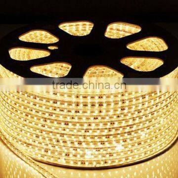 CE SAA approved high voltage led strip light 110V 230V led strip