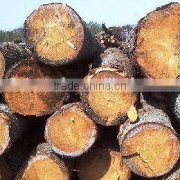 Bed Slats LVL Pine / Birch Wood Logs Hardwood Popular Shandong photo-4