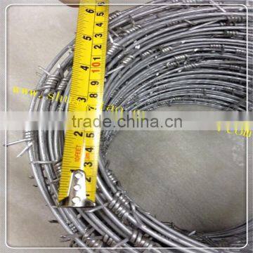 Professional production hot dipped galvanized barbed wire (guangzhou)