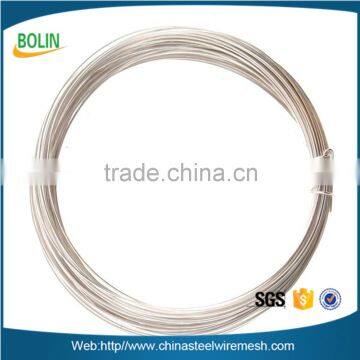 China High Quality Silver Expanded Wire Mesh Expanded Metal Mesh Pure Silver Mesh photo-5