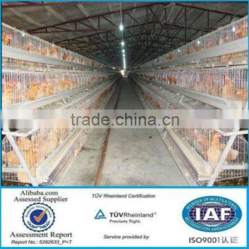 no rust layer chicken cages/egg laying hen cage/poultry layer cage