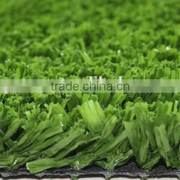 Grass for Tennis Court and Racetrack