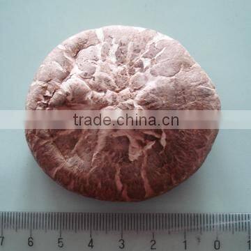 Dry shiitake mushroom