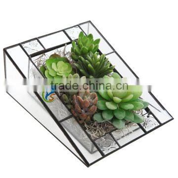 Triangular Shape Clear Glass Succulent Planter Box display stand