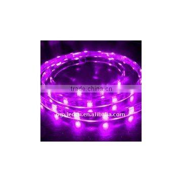 5050 Led strip Purple