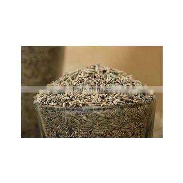 india cumin seed