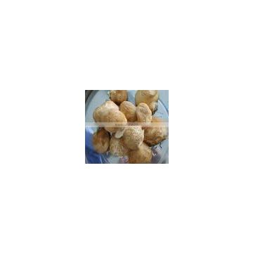 Hericium Erinaceus Extract Polysaccharides