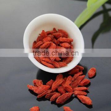 2015 NingXia original fresh dried goji berry