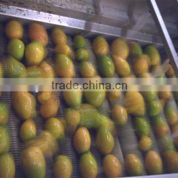 Complete Mango Fruit Processing Line