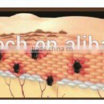 Infrared Ems Muscle Fitness Slim Gym Exercise Machine photo-4