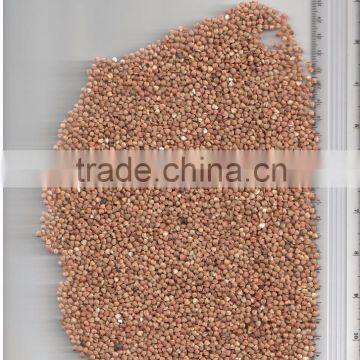 ROASTED BUCKWHEAT KERNEL