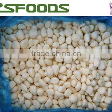 IQF garlic CLOVE SEGMENT 2014 PRICE