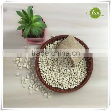JSX Long Shape White Kidney Beans Food Trade Export photo-4