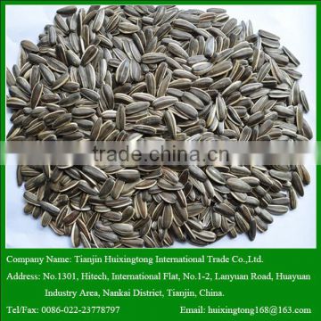 2015 New Crop High Quality Raw Sunflower Seeds for Human Snack