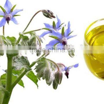 Organic Borage Oil(Omega 6 series) Essential Oil of high quality