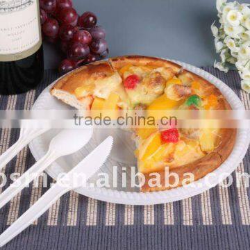eco friendly disposable plastic dinnerware