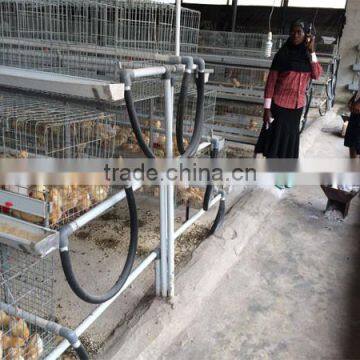 TAIYU Farm Cage for Egg Chick