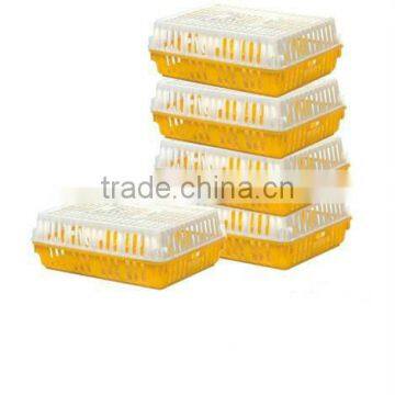Poultry chicken transport crate for live/adult chicken