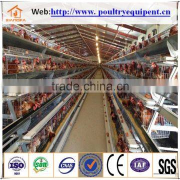 automatic chicken cage layer Low price