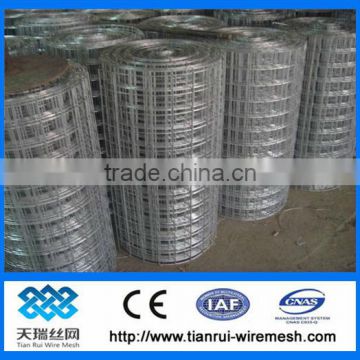 1/4"galvanized Welded Wire Mesh